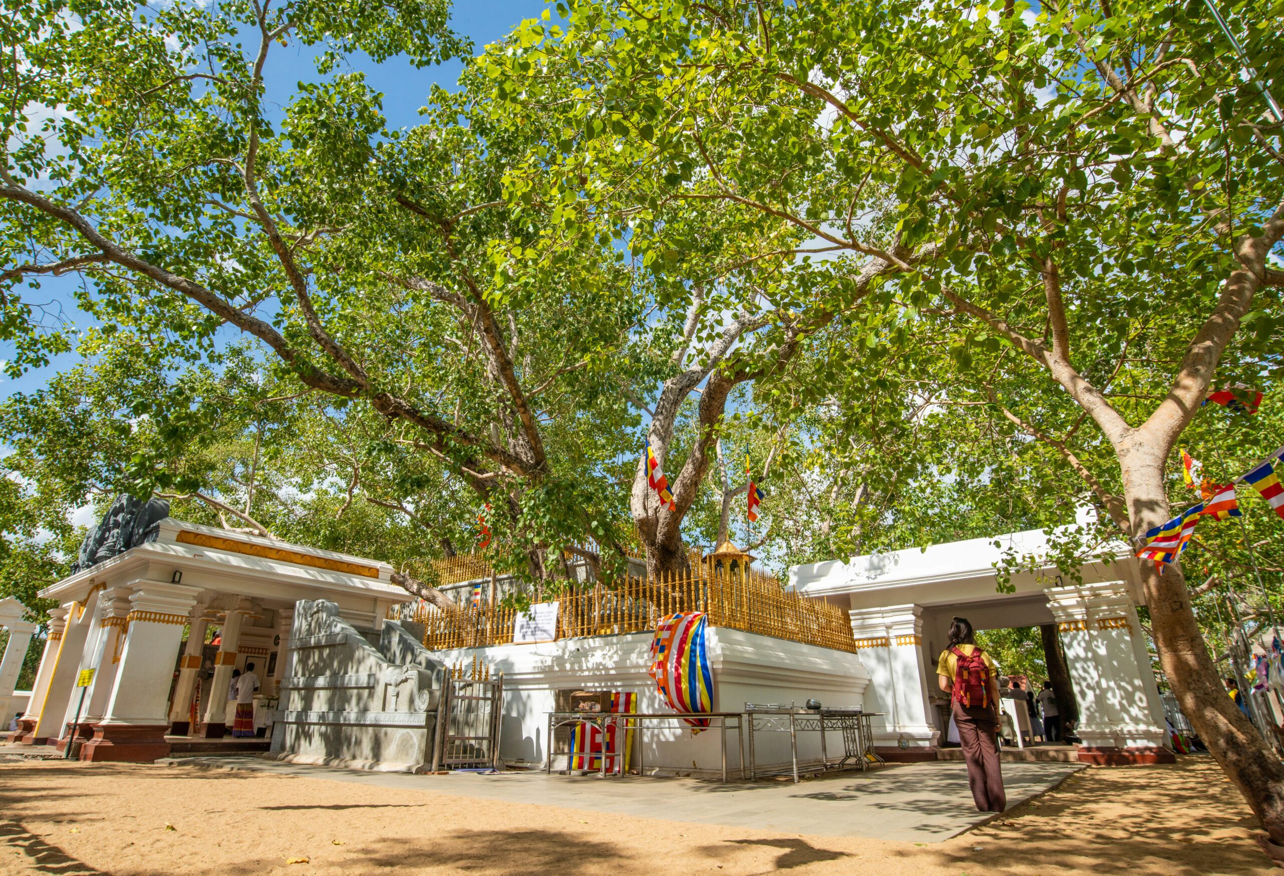 Sri Maha Bodhiya