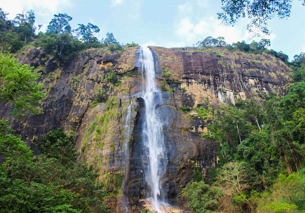 Waterfall Trek (Diyaluma)